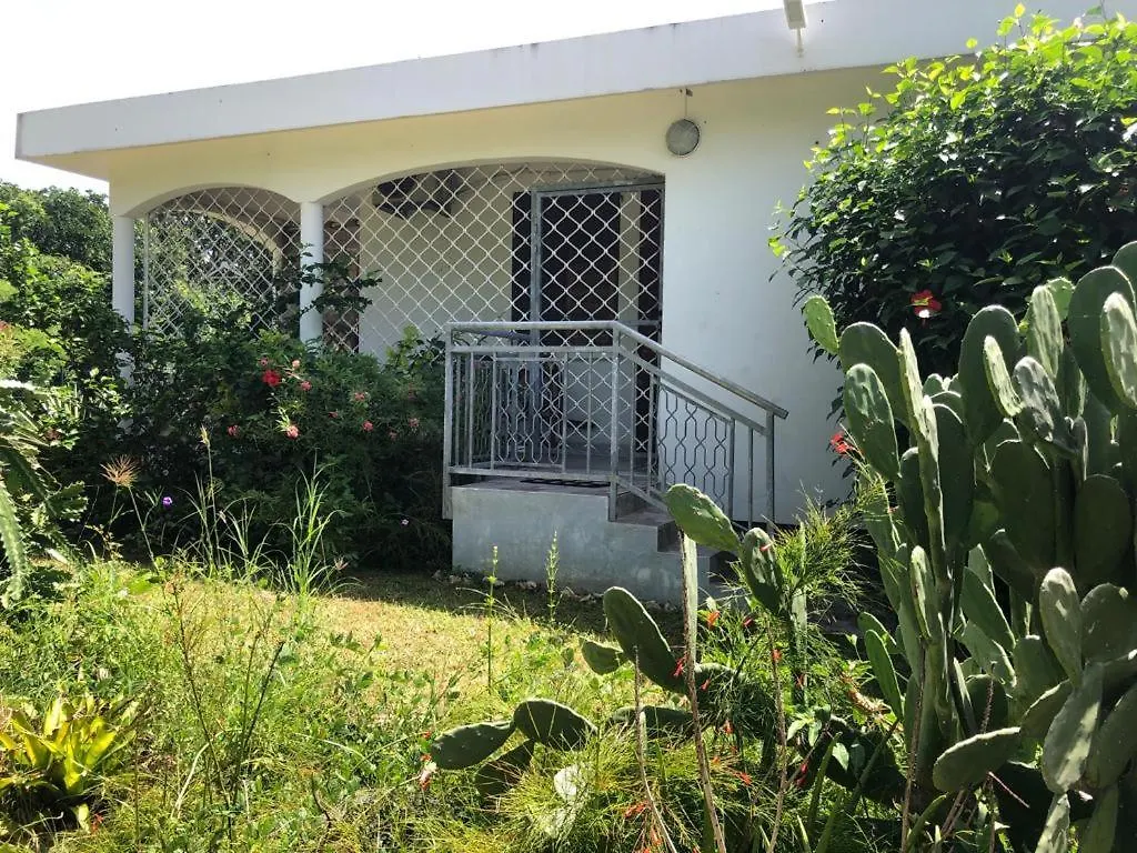 Rum i privatbostad Jardin Des Anges-Bungalows Creoles Et Studio Le Moule Guadeloupe