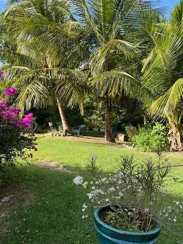 Jardin Des Anges-Bungalows Creoles Et Studio Le Moule Guadeloupe