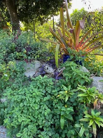 Jardin Des Anges-Bungalows Creoles Et Studio Le Moule 0*,  Guadeloupe
