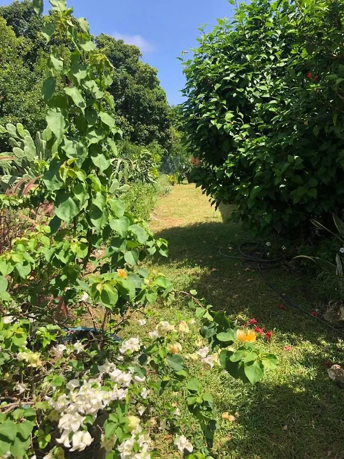 Jardin Des Anges-Bungalows Creoles Et Studio Le Moule